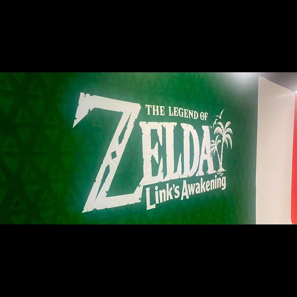 Custom fabric Zelda banner 10 ft tall x 40 ft wide.  One of a kind.  Accent wall